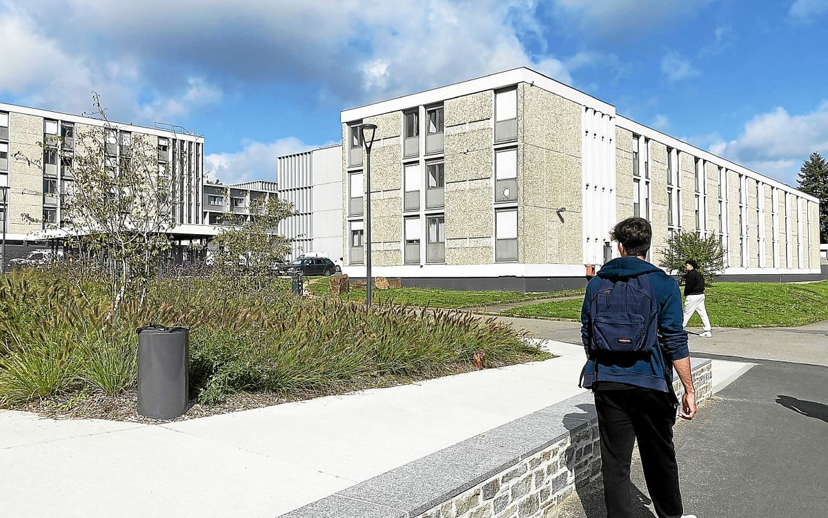 « Nous sommes tous dans la même galère » : plus de 600 étudiants privés d’électricité dans leurs appartements à Rennes