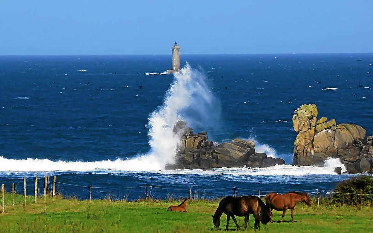 Cliché de Zef : mélange explosif sur la côte, à Porspoder