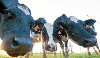 Au Space, la Bretagne unie pour soutenir une politique agricole forte