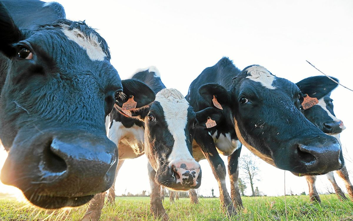 Au Space, la Bretagne unie pour soutenir une politique agricole forte