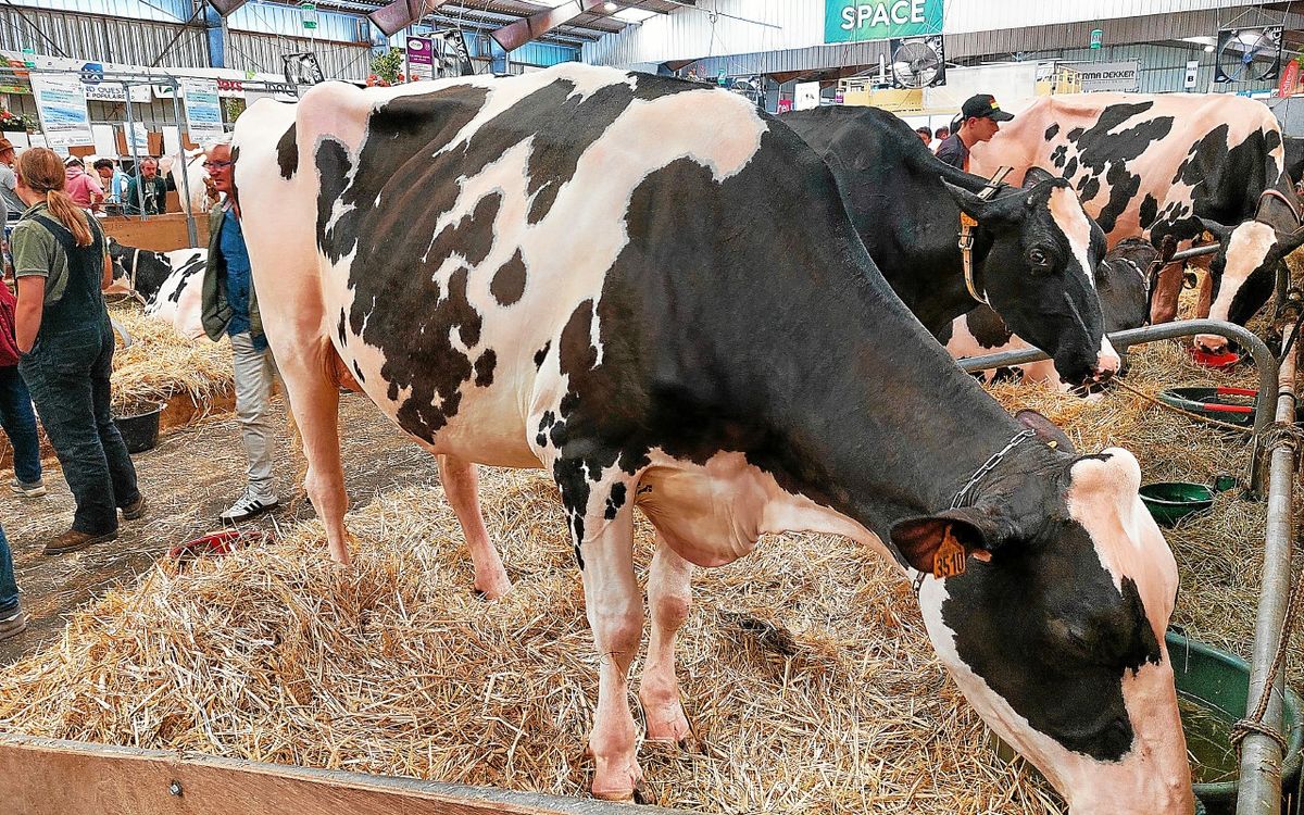 Grève du 18 septembre : le Space se poursuit à Rennes