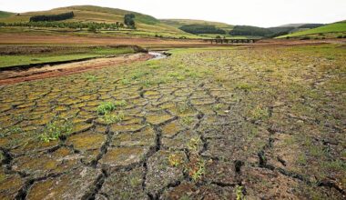 Sécheresse record en août en Europe et sur les côtes de la Méditerranée : plus de la moitié des sols concernés