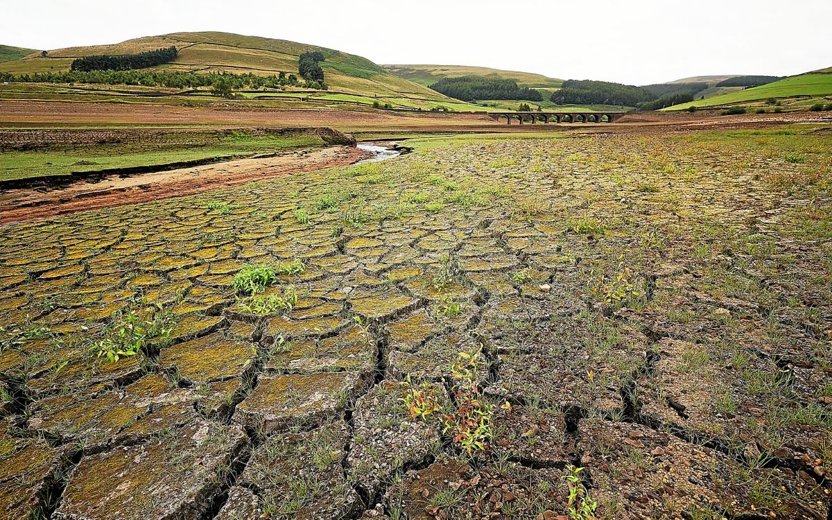 Sécheresse record en août en Europe et sur les côtes de la Méditerranée : plus de la moitié des sols concernés