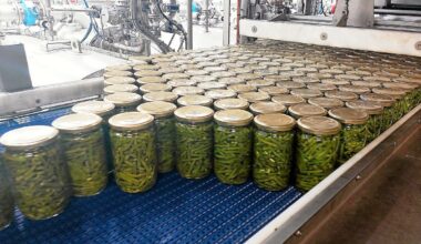 Recyclage de l’eau dans l’agroalimentaire : « De 20 à 25 % d’économies supplémentaires à la clé »