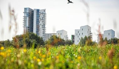 Immobilier à Rennes : dans quels quartiers les prix ont-ils le plus baissé ? [Cartes]