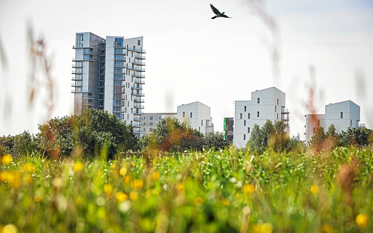 Immobilier à Rennes : dans quels quartiers les prix ont-ils le plus baissé ? [Cartes]