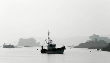 À partir de 2026, il sera obligatoire de déclarer tout merlu, bar, thon ou dorade pêché