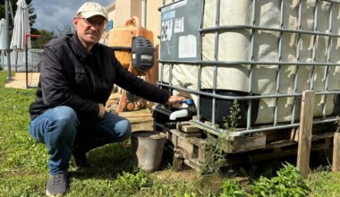 "On est envahis de moustiques" dans cette commune des Deux-Sèvres où un cas de chikungunya a été détecté