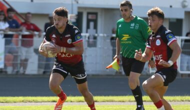 Niort prend le point de bonus défensif face à l'ogre niçois mais pouvait espérer mieux
