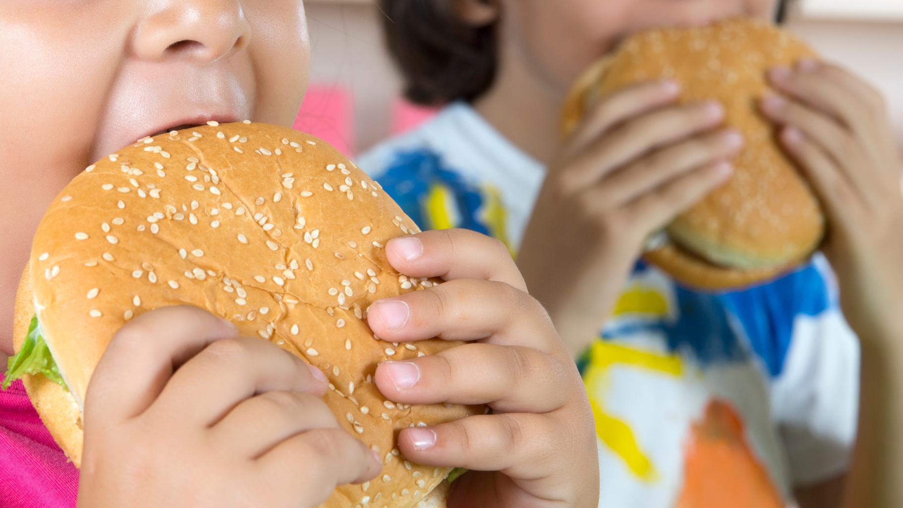 L’obésité devient la première forme de malnutrition chez les enfants, avant la sous-alimentation