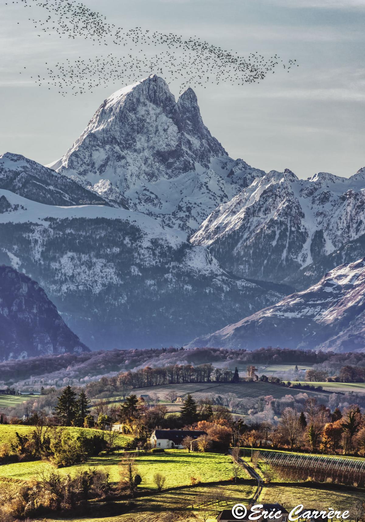 Vol de palombes en Ossau, à l’automne.
