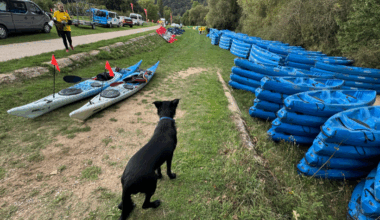 C'était quoi ce rassemblement de canoës-kayaks au nord de Lyon ?