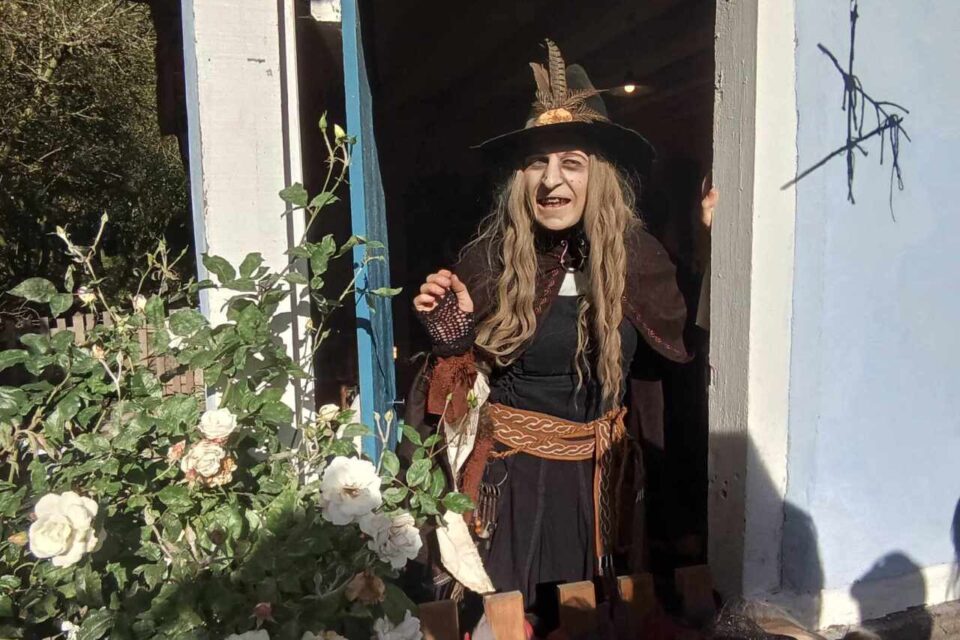 fête sorcière