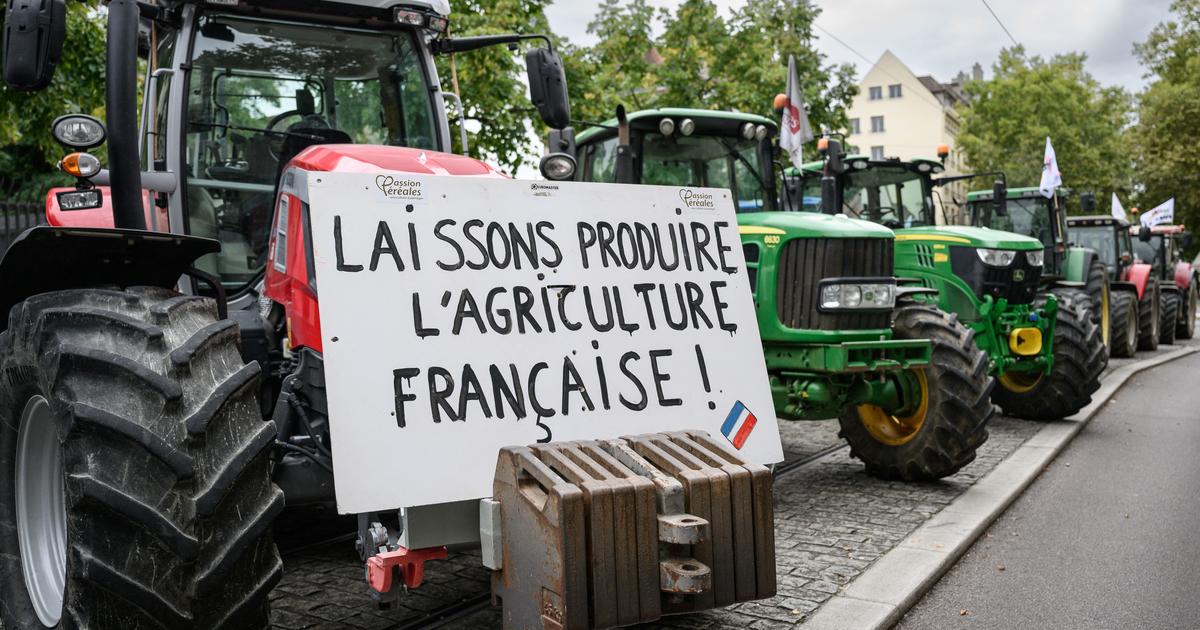 EN DIRECT - Mercosur, taxes imposées par Trump... Les agriculteurs mobilisés pour dénoncer des importations «aberrantes»