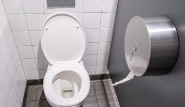 Faut-il éviter de s'asseoir sur des toilettes publiques ? Voici les maladies qu'on peut vraiment attraper