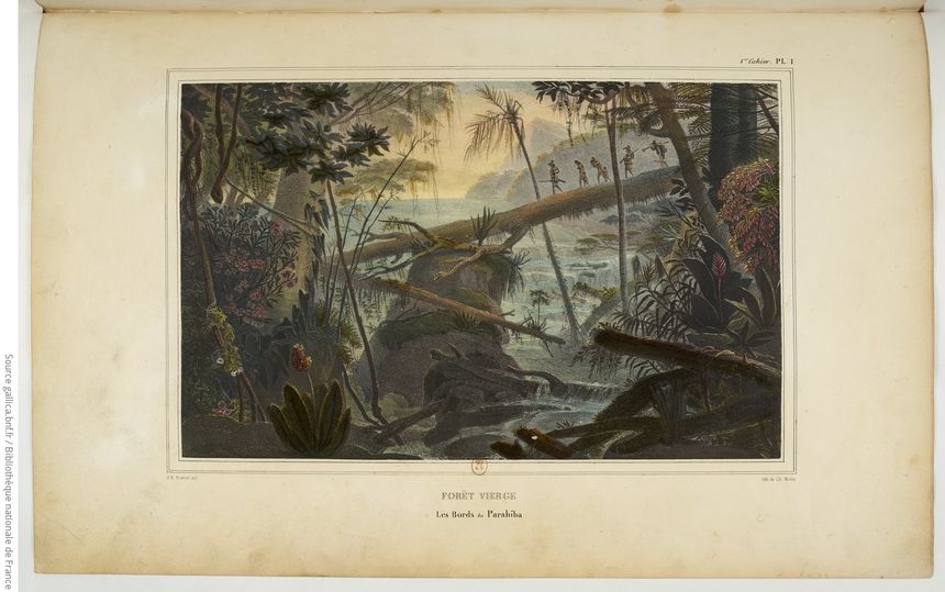 Jean-Baptiste Debret, "Forêt vierge, les bords du Paraïba", planche 1.