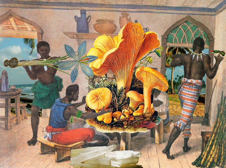 G ê Viana, Culture de champignons , de la série Actualisations traumatiques de Debret, 2000