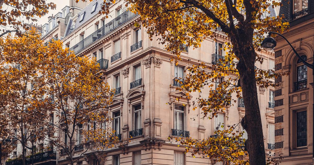 Paris est-elle devenue un triste continuum de coffee shops et d’agences immobilières ?