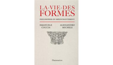 retrouver l'enchantement par la mode • Le Suricate