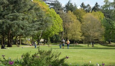 un jeune footballeur professionnel interpellé après avoir tendu un guet-apens dans un parc