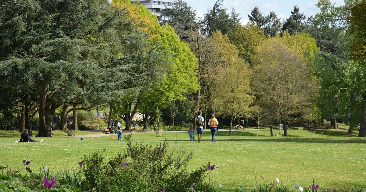 un jeune footballeur professionnel interpellé après avoir tendu un guet-apens dans un parc