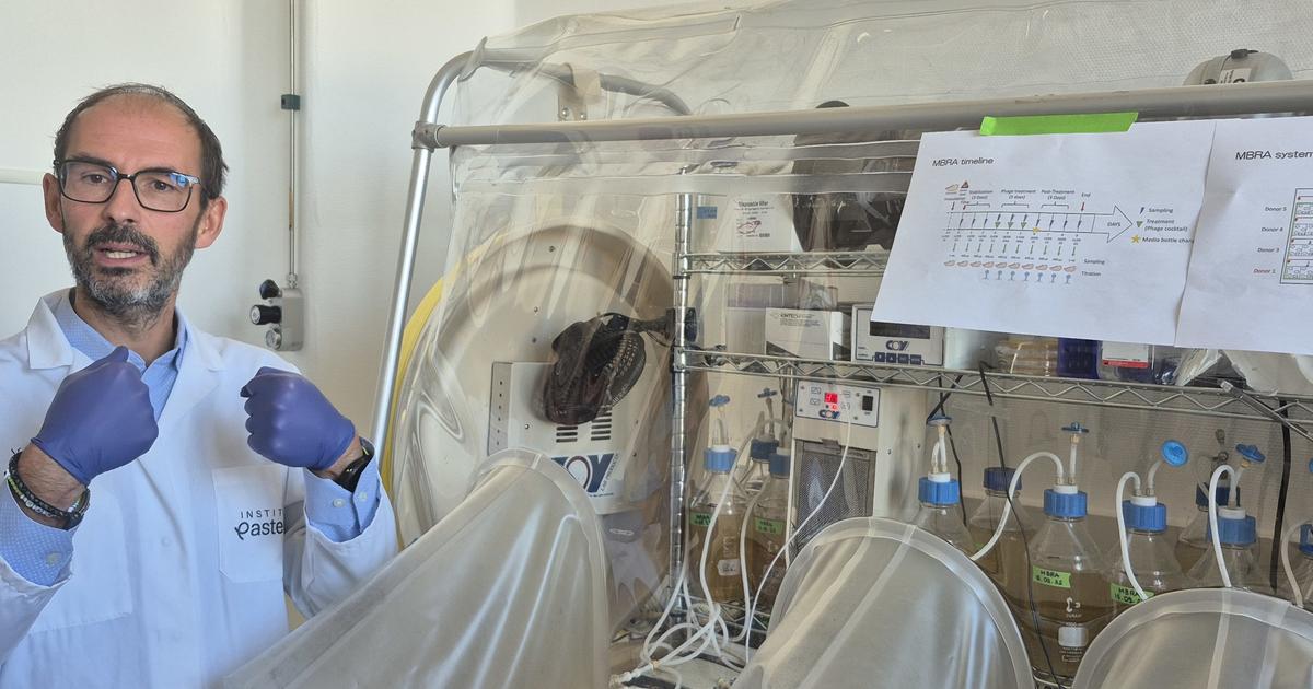 Dans les coulisses d’une « chambre à excréments » créée pour étudier notre microbiote