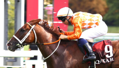 Arrivée du quinté du dimanche 7 septembre à ParisLongchamp : Chaldero honore son statut de favori