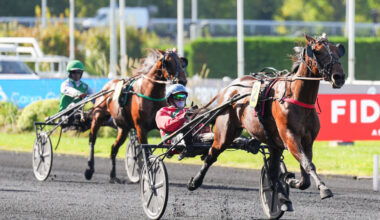 Arrivée du quinté du dimanche 28 septembre à Paris-Vincennes : Neo Turbo, notre favori belge, double la mise