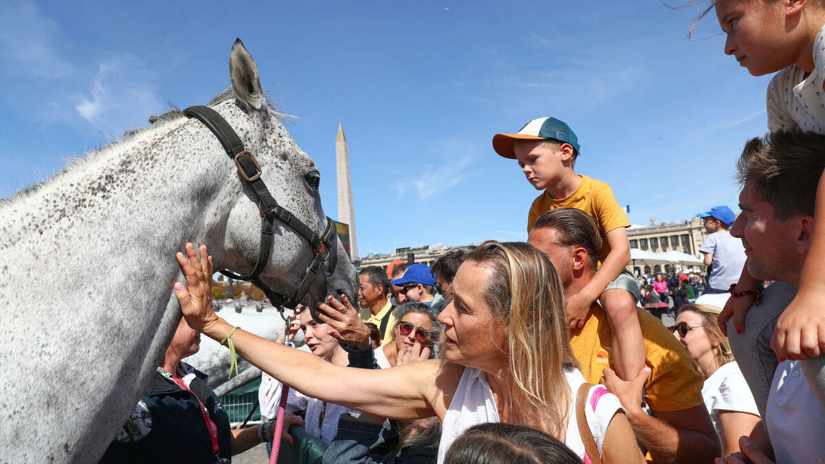 Les chevaux dans Paris : pari réussi ! La première édition des chevaux dans la ville a été un franc succès