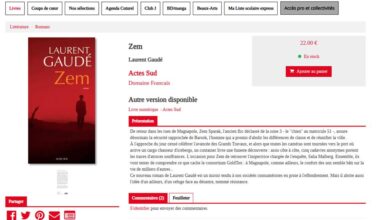 TOULON : "Zem", de Laurent GAUDE