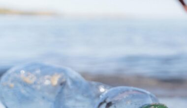 MARSEILLE : En route vers zéro déchet plastique