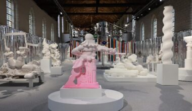 LILLE : The Distorted Party, au musée de l’Hospice Comtesse