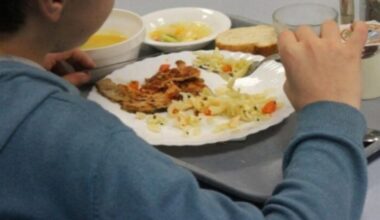 TOULOUSE : Les collèges de Haute-Garonne se lancent dans le défi 100% fait-maison et local dans leur cantine