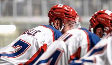 LIGUE MAGNUS - Grenoble étrenne son titre dès ce soir contre Bordeaux