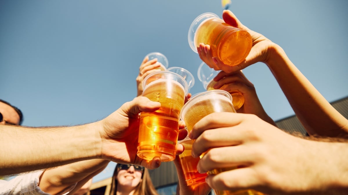 Consommer régulièrement de la bière vous transforme en aimant à moustiques, une étude étonnante le prouve