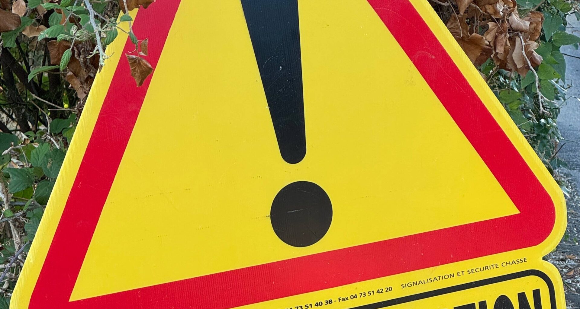 "Personne n’est à l’abri des manœuvres accidentelles": après la photo choc, une pétition pour réguler les battues aux sangliers près de Nice