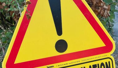"Personne n’est à l’abri des manœuvres accidentelles": après la photo choc, une pétition pour réguler les battues aux sangliers près de Nice