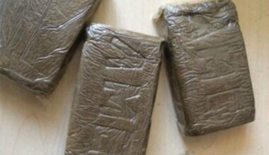 30kg de cannabis retrouvés dans une voiture: un trafic de stupéfiants a été démantelé à Toulon