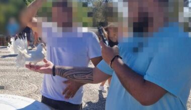 Arnaque aux touristes et trafic d’oiseaux sur la colline du château de Nice: un homme interpellé