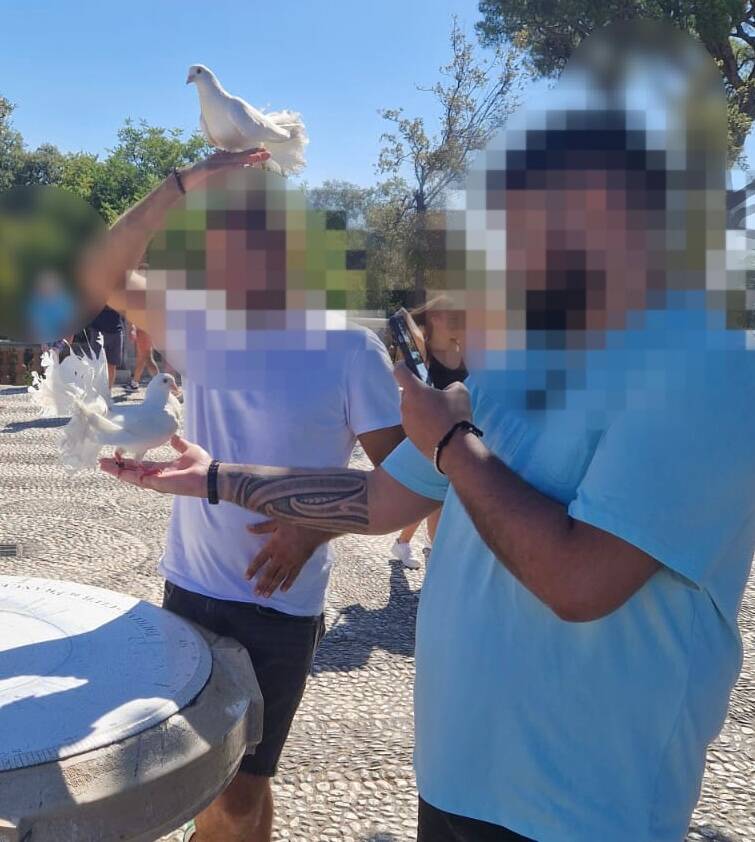 Arnaque aux touristes et trafic d’oiseaux sur la colline du château de Nice: un homme interpellé