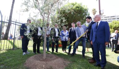 "Se rassembler face à toutes les formes de racisme: la Ville de Nice plante un arbre en hommage à Ilan Alimi, jeune juif assassiné pour sa confession en 2006