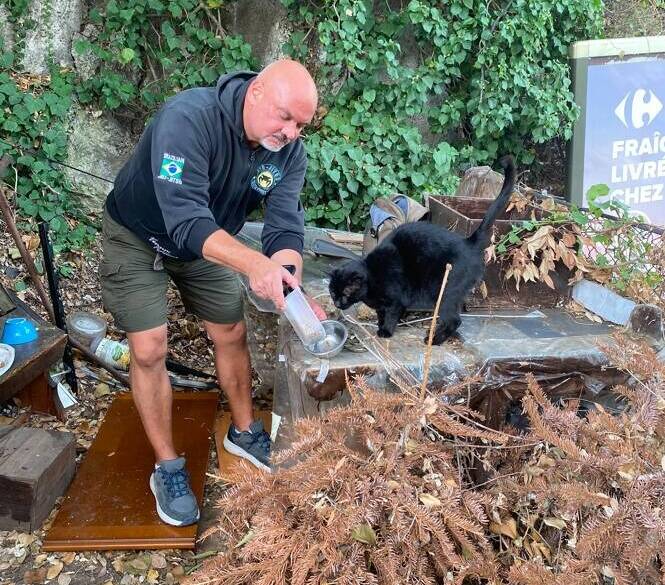 "On est en droit d’attendre que le service municipal du bien-être animal soigne les chats blessés ou à l’agonie": à Nice, il aide les chats errants, mais se sent abandonné