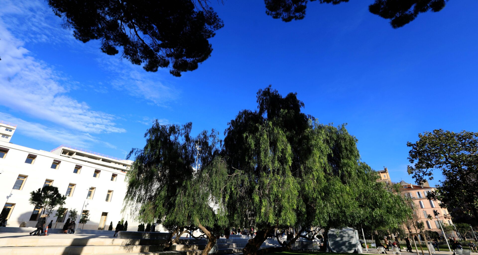 À Toulon les parcs et les jardins fermés ce jeudi après-midi à cause de la météo