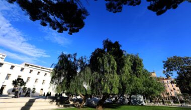 À Toulon les parcs et les jardins fermés ce jeudi après-midi à cause de la météo