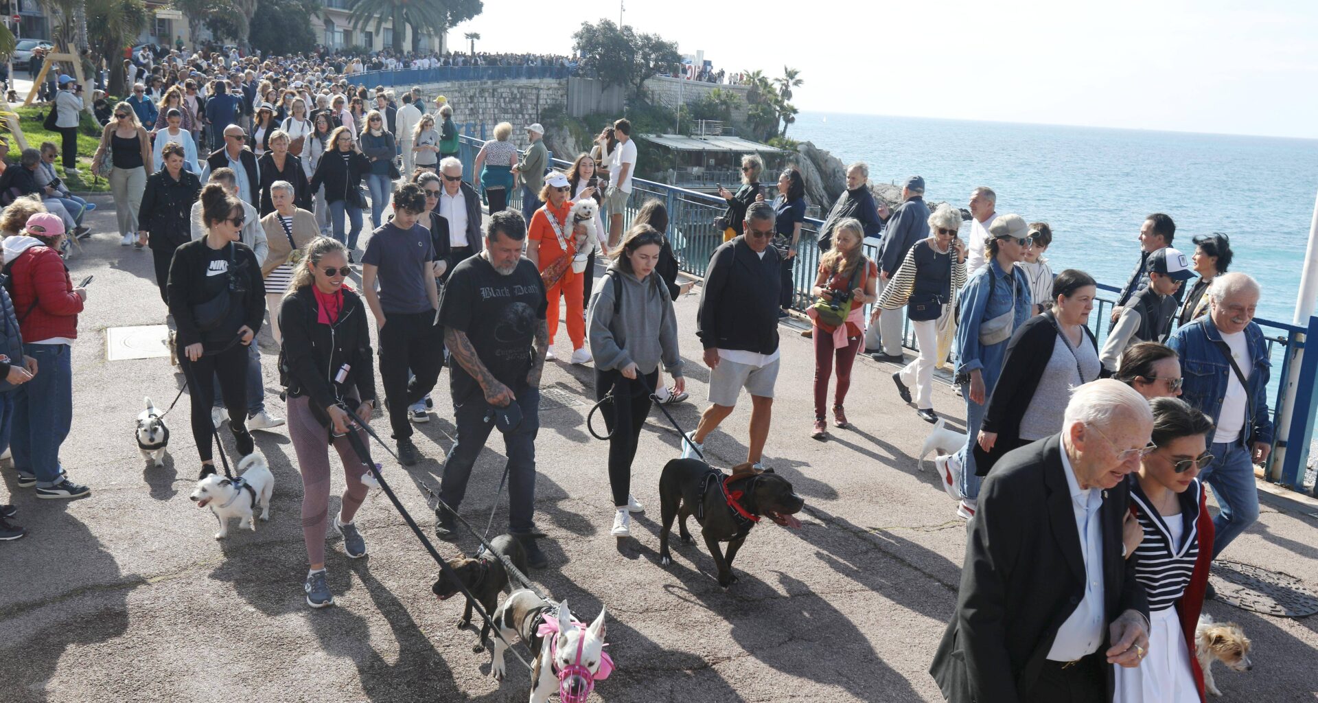"Pour une fois, c’est un événement créé en province qui aura un retentissement dans la capitale": la Marche des animaux de Nice s'exporte à Paris