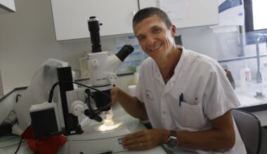 "Nous allons devoir vivre avec le chikungunya": les propositions d’un parasitologue niçois face à la progression de la maladie