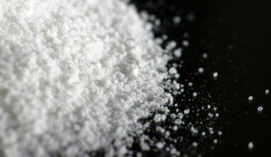 Cocaïne : la route africaine vers l’Europe