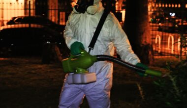 à Nice, une opération antimoustiques pour prévenir l’explosion de cas chikungunya – Libération