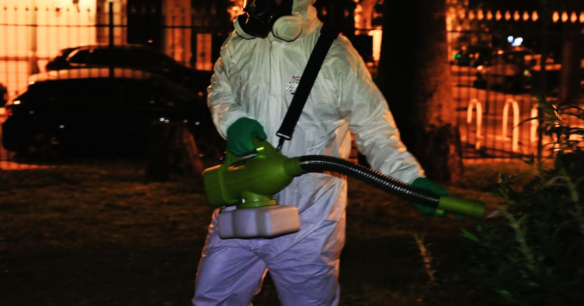 à Nice, une opération antimoustiques pour prévenir l’explosion de cas chikungunya – Libération