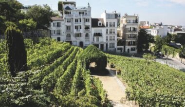 Un jour, un livre "Atlas des vins insolites" Pierrick Bourgault